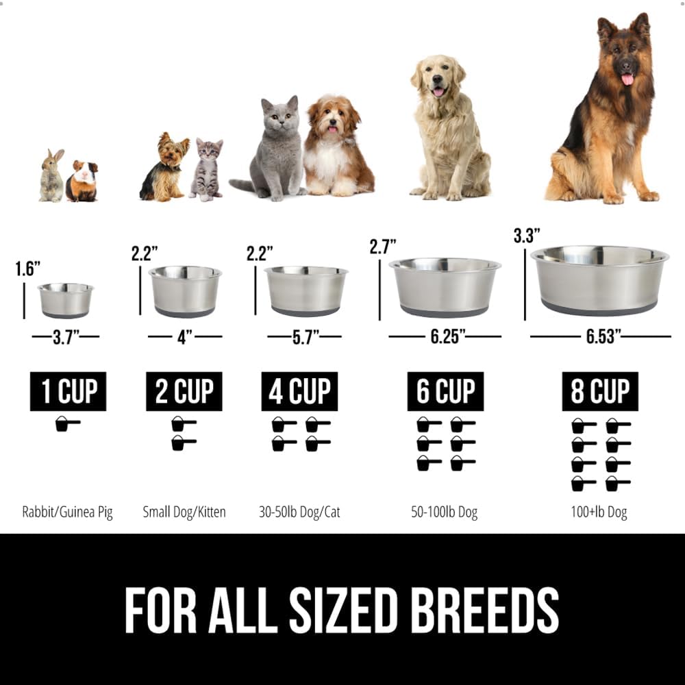 GORILLA GRIP Set of 2 Dog Bowls, Heavy Duty Metal Food and Water Bowl for Feeding Dogs and Cats, Dishwasher Safe, Rust Resistant Stainless Steel, BPA Free Rubber Base, Holds 1 Cup (8 fl oz), Gray