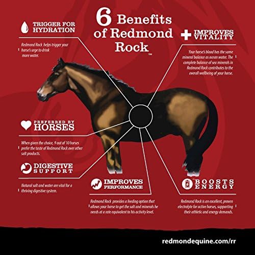 REDMOND - Rock on a Rope Unrefined Salt Rock for Horses 3 to 5 lbs (3 Pack)
