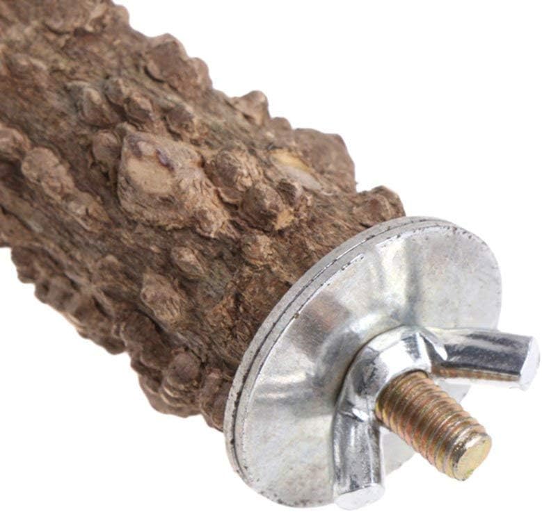 Hypeety Natural Prickly Ash Wood Perch Stand Toy Parrot Stand Holder Paw Grinding Perch Bird Chew Perch for Budgie Parakeet Cockatiel Conure Lovebird (11.79 inch)