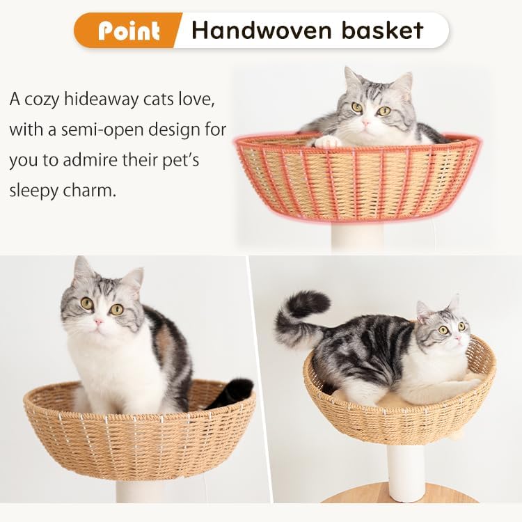 Wooden Cat Tree for Large Cats, Modern Multi-Level Condo with Natural Wood, Indoor Cat Furniture for Medium and Big Pets (Cream Y909S)