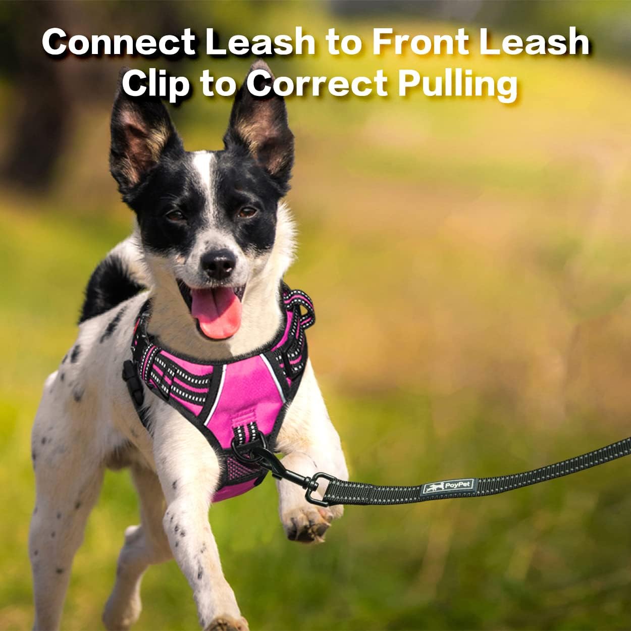 PoyPet No Pull Dog Harness, No Choke Front Clip Reflective Dog Vest with Soft Padded Vertical Handle, 3 Leash Attachments for Small Medium Large Dogs (Pink,L)