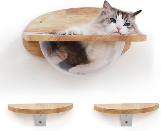 FUKUMARU Cat Wall Furniture Set, Transparent Capsule Kitten Walls Shelves with 2 PCS Pedals - Premium Kitty Bed for Sleeping, Playing, Climbing, and Lounging - Easily Holds Up to 35 Lbs