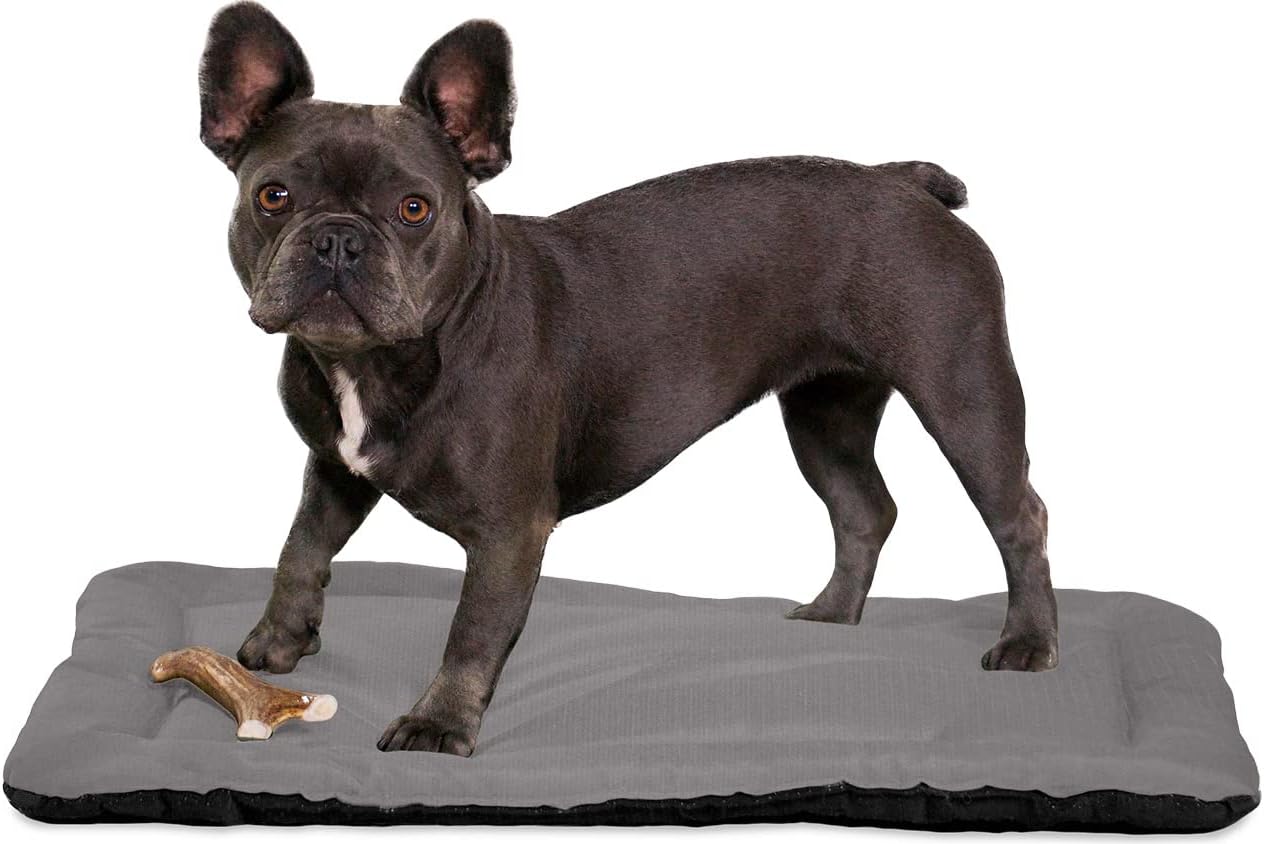 K9 Ballistics Tough Ripstop Dog Crate Pad - Durable & Machine Washable with Non-Skid Bottom and 120-Day Warranty, Fits 30" Wire Crates - Small, Light Gray Velvet