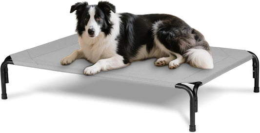 Elevated Dog Bed for Outdoor, Large Raised Dogs Cot for Training, Cooling Pet Beds with Washable Mesh, Indestructible Lifted Platform for Outside Camping, 41 inch Grey