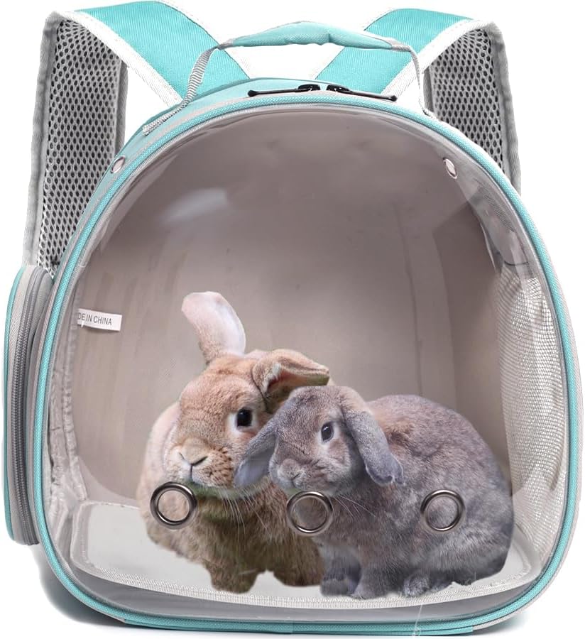 Guinea Pig Backpack Carrier, Bearded Dragon Carrier Backpack with Clear Bubble Window,Small Animal Travel Backpack for Hedgehog Rat，Chameleon,Rabbit,Sugar Glider,Airline Approved (Green, Backpack)