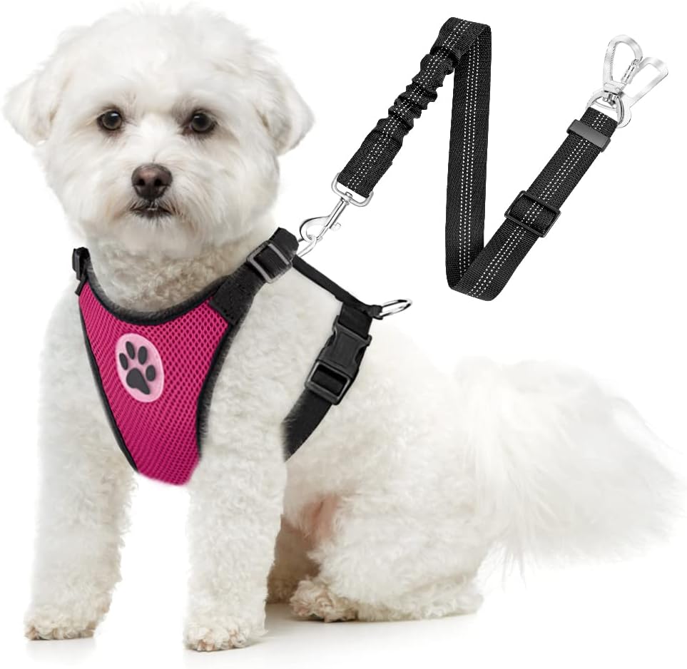 SlowTon Dog Seat Belt Harness for Car, Dog Car Harness Adjustable Mesh Breathable & Dog Seatbelt Safety Tether with Elastic Bungee for Small Medium Large Pets(Fuchsia, Double Clip, L)