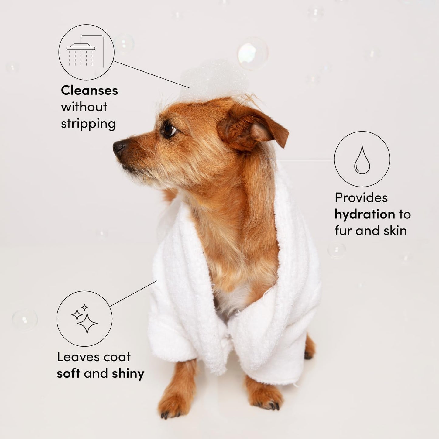 OUAI Fur Bébé Pet Shampoo, Mercer Street Scent - Dog Shampoo and Coat Wash for Hydrating, Cleansing and Adding Shine - Pet Supplies by OUAI (16 Fl Oz)