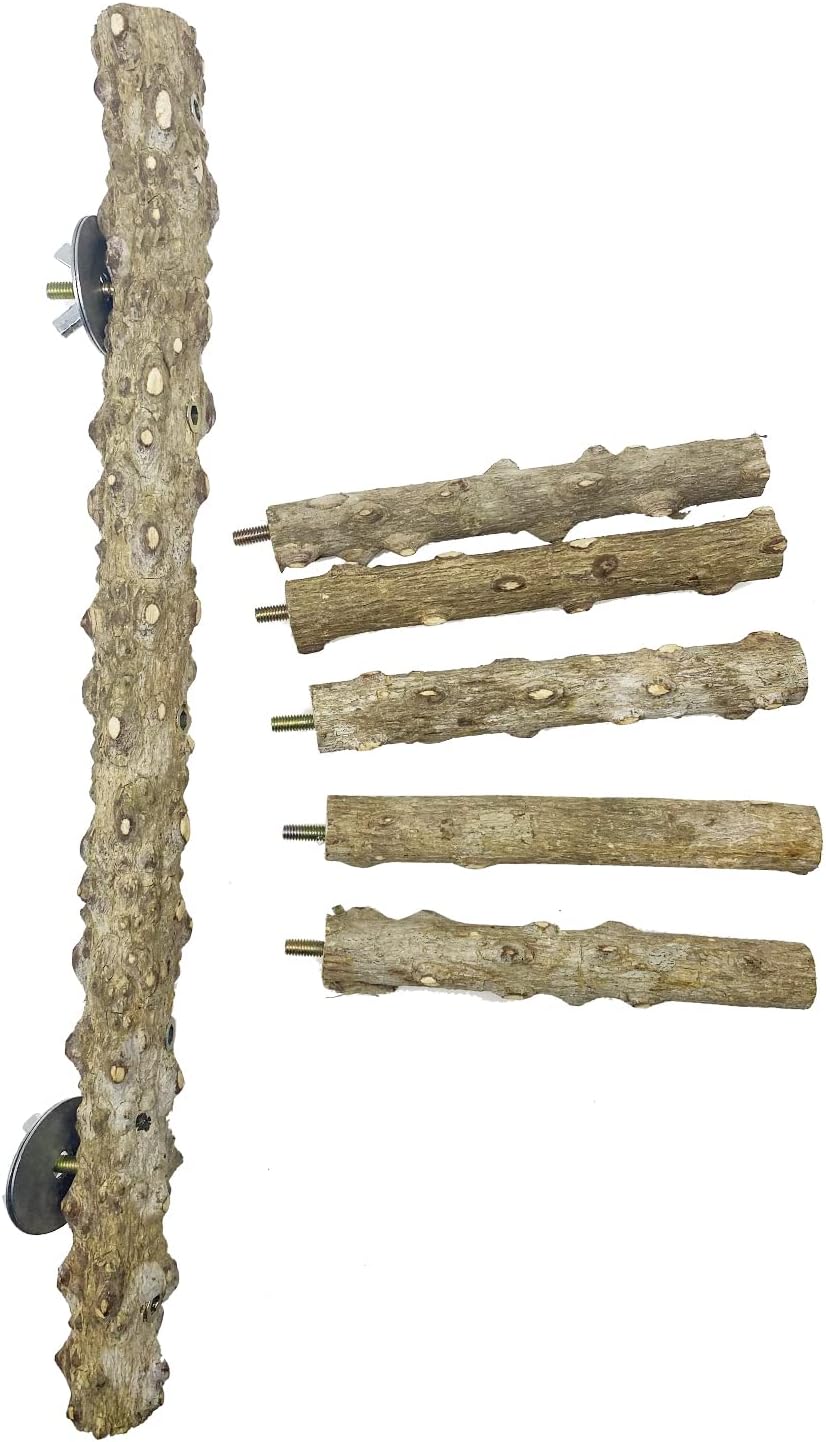 Allazone 3 PCS Nature Wood Bird Ladder Perch Nature Wood Stand Parrot Chew Toy Cage Hanging Pet Cage Bird Climbing Step Ladders for Small Animal