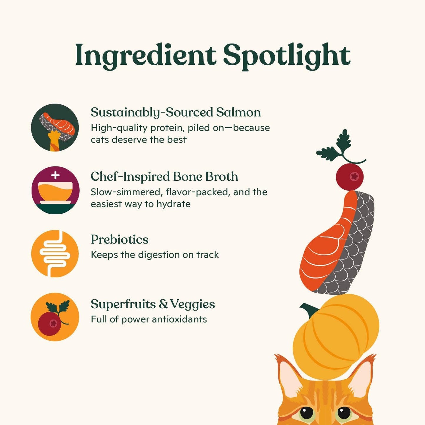 Made by Nacho Dry Cat Kibble 2lb Bag, High Protein and Grain-Friendly Premium Cat Food, Sustainably Caught Salmon and Pumpkin, Infused with Bone Broth for Hydration, Limited Ingredients, Single Bag