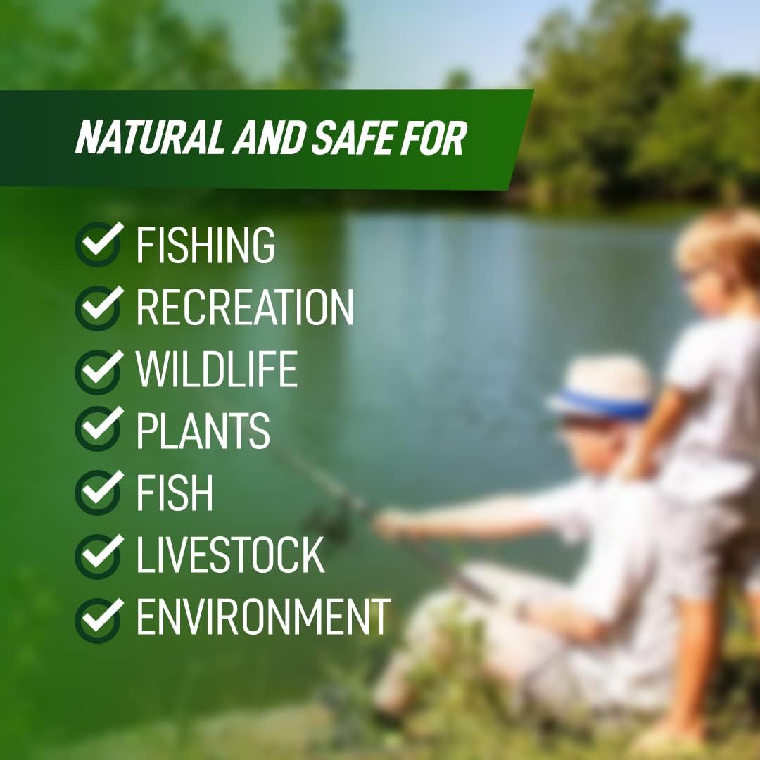 4X Pond Cleaner - Reduces Muck & Sludge for a Clean, Natural Look - Super Concentrated Lake and Water Feature Enzymes Treats Up to 1 Acre, Pair with Dye - Safe for Fish and Wildlife (32 oz)