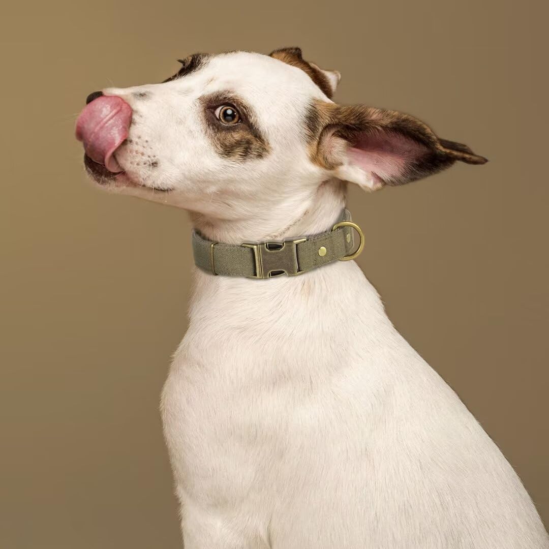 PET ARTIST Dog Collars for Small Dogs, Soft Padded Premium Nylon Dog Collar with Quick Release Metal Buckle, Durable & Adjustable Pet Collars for Boy Gifts, Green, S (Fit 10-16")