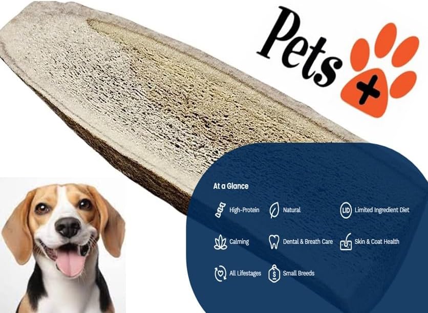 Pets Plus Split Antler Chews for Dogs – 6 Inch, Medium, 2-Pack – Natural Deer Antlers, Long-Lasting Dog Chew Bones, Odor-Free, for Aggressive Chewers & Dental Health