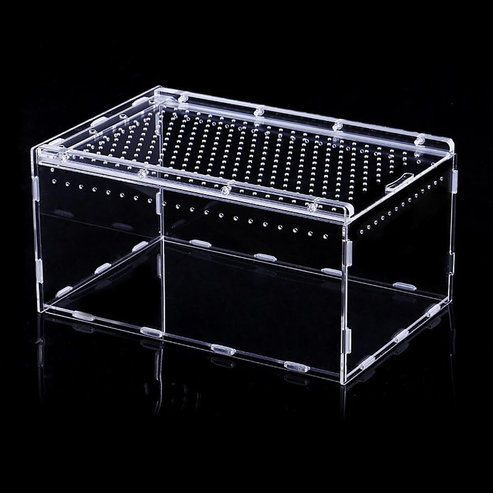 Magnetic Acrylic Case, Micro Habitat Small Tarantula Enclosure Enclosure for arboreal Tarantula Scorpion Sling Lizards Mantis Snake Gecko Jumping Spider Snail Insect Isopods (12 * 8 * 6inch)