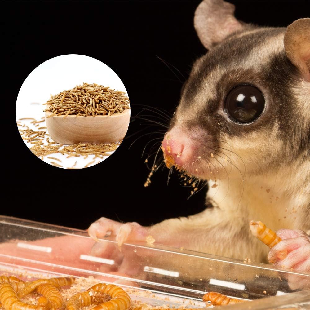 10lbs Mealworms, High-Protein Dried Mealworms for Birds, Chickens, Turtles, Fish, Hamsters and Hedgehogs, Non-GMO and Chemical Free, All Natural Animal Feed