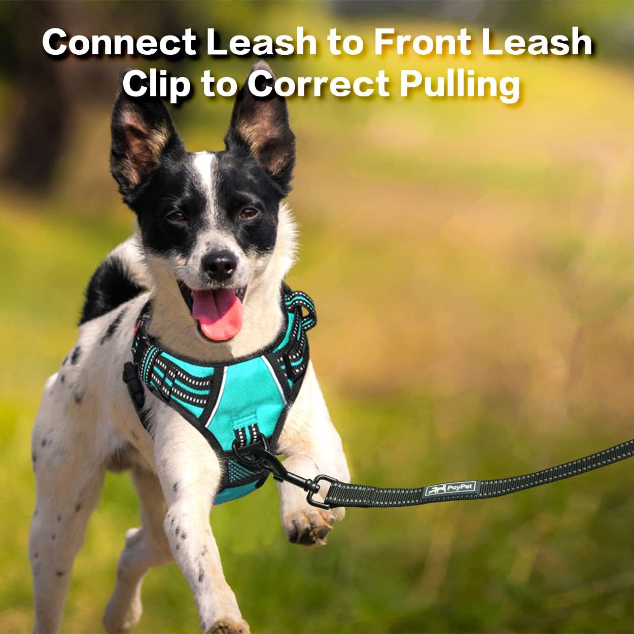 PoyPet No Pull Dog Harness, No Choke Front Clip Reflective Dog Vest with Soft Padded Vertical Handle, 3 Leash Attachments for Small Medium Large Dogs (Mint Blue,XL)