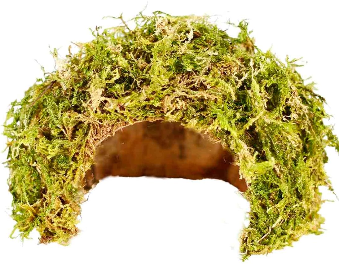 Coconut Hamster Hideout Hamster House Gerbil Cage for Small Animals with a Bundle of Apple Sticks a Carrot (Green)