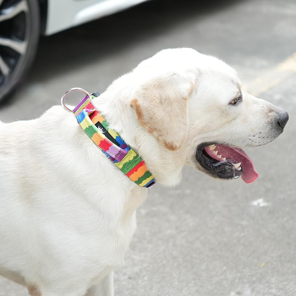 TSPRO Premium Dog Collars Tactical Dog Collar with Handle and Heavy Duty Quick-Release Metal Buckle Durable Thick and Adjustable for Medium to Large Dogs (Orange M)