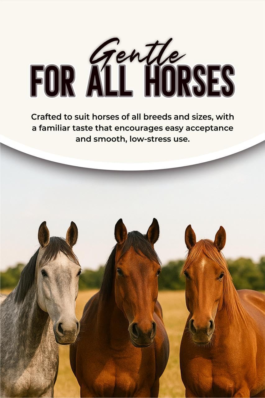 Horse Paste 1.87% – Apple Flavored Wormer – 6.08g Tube – Treats Up to 1250 lb (4 Pack)