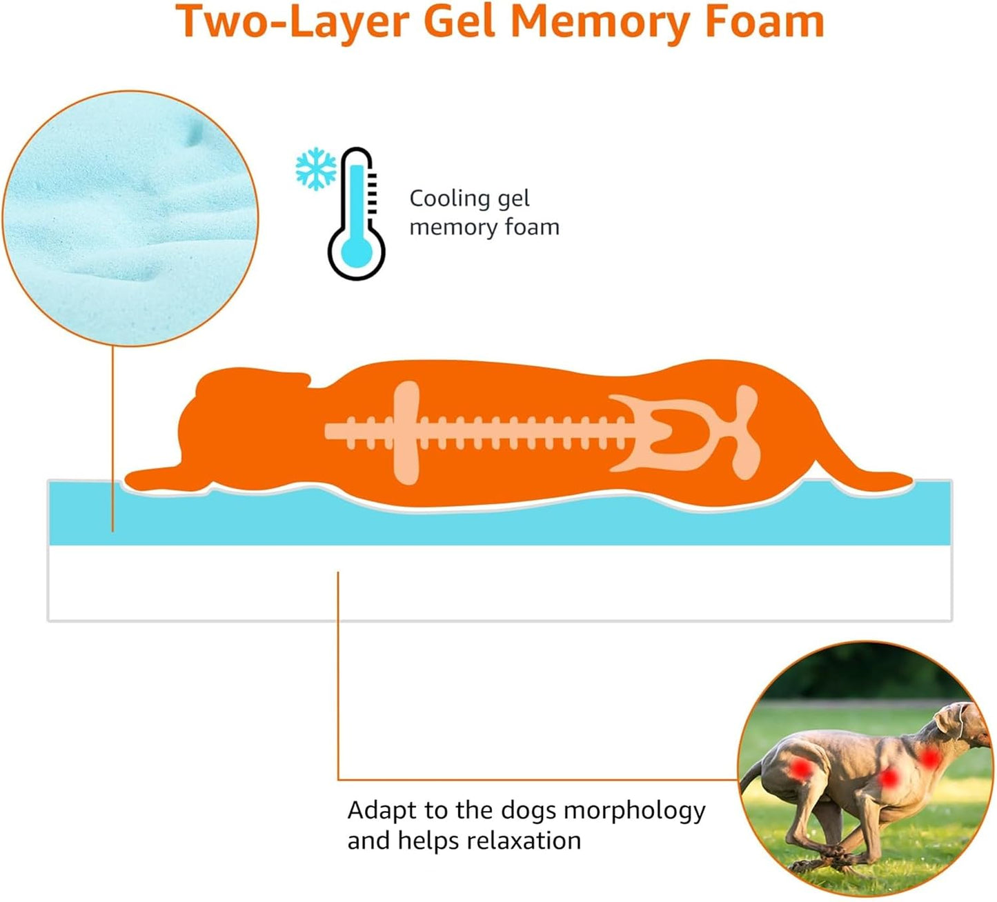 Amazon Basics Dog Bed with Cooling Gel Memory Foam, Pressure-Relief Support for Dogs up to 120lbs, Non-Slip Bottom, Machine Washable Cover, Giant Sized (50" x 34"), Grey