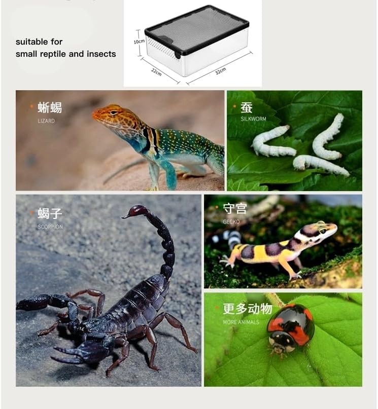 Reptile Feeding Box Snake cage Clear Terrarium for Snake Geckos Frog Lizards Chameleons Serpents Snake Scorpion Snail Insect Hermit Crab Isopods Reptiles Enclosure (12.6x8.6x3.9inch)