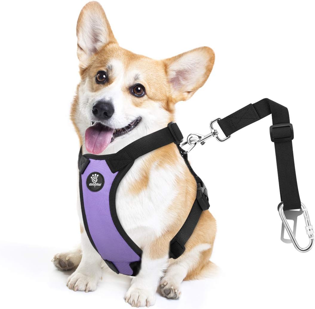 Dog Seat Belt, Safety Vest Dog Car Harness with Adjustable Buckle Dog Seat Belt for Vehicle Nylon Pet Safety Seat Belts Heavy Duty(S, Purple)