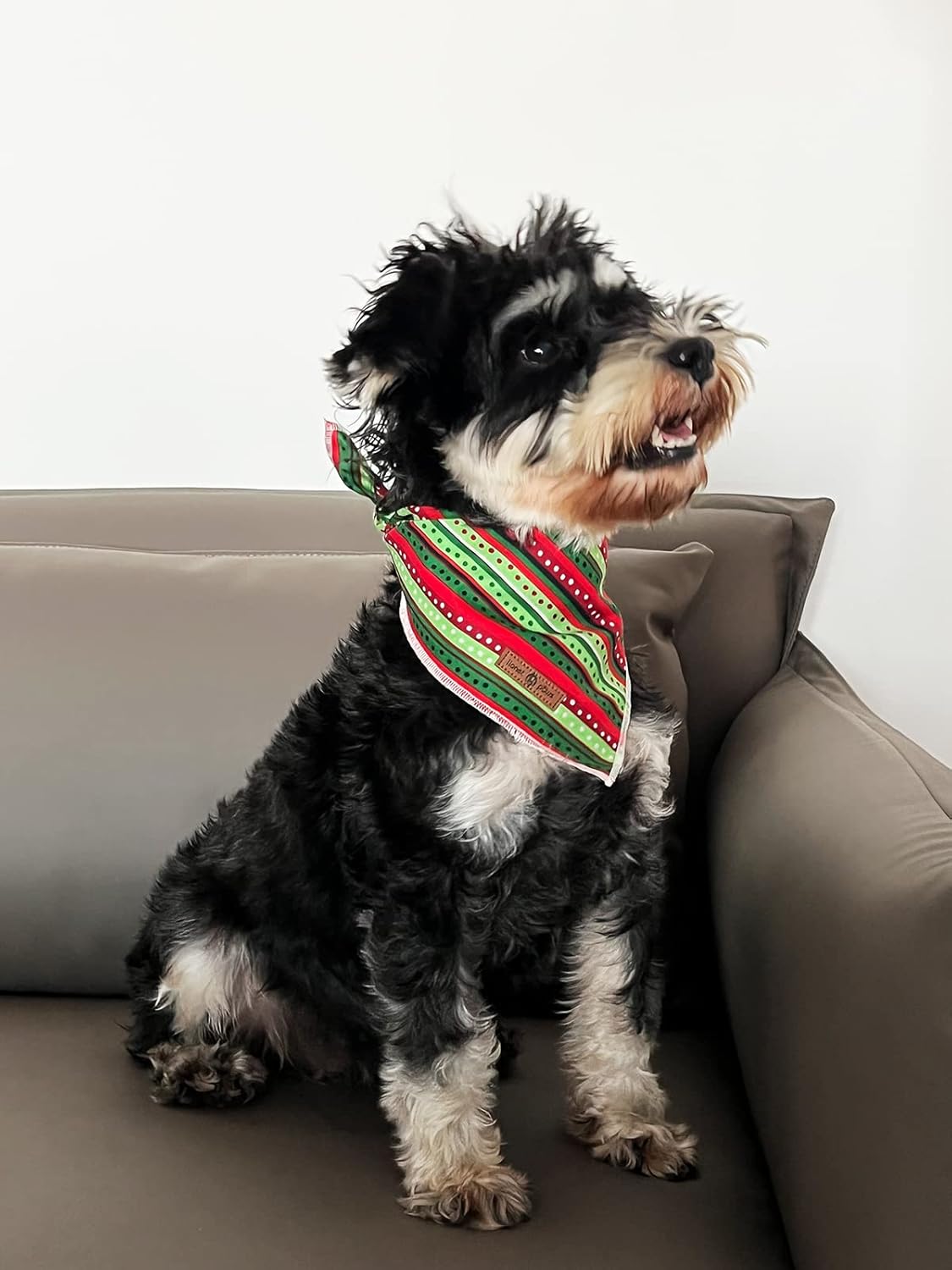 lionet paws Christmas Dog Bandana,Fabric Dogs Kerchief for Small Medium Large Dogs,Dog Cotton Triangle Bibs Scarf for Girl Boy