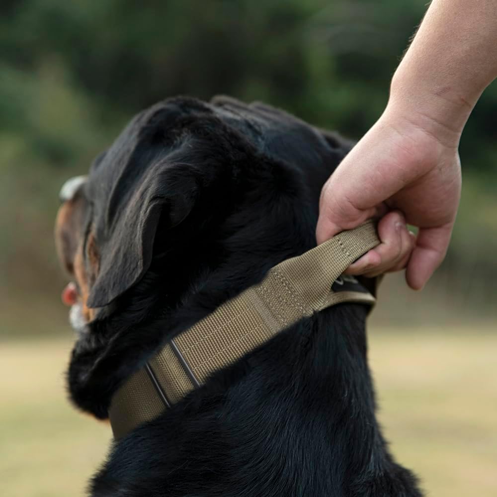 TSPRO Premium Dog Collars Tactical Dog Collar with Handle and Heavy Duty Quick-Release Metal Buckle Durable Thick and Adjustable for Medium to Large Dogs (Gradient Multi-Colored L)