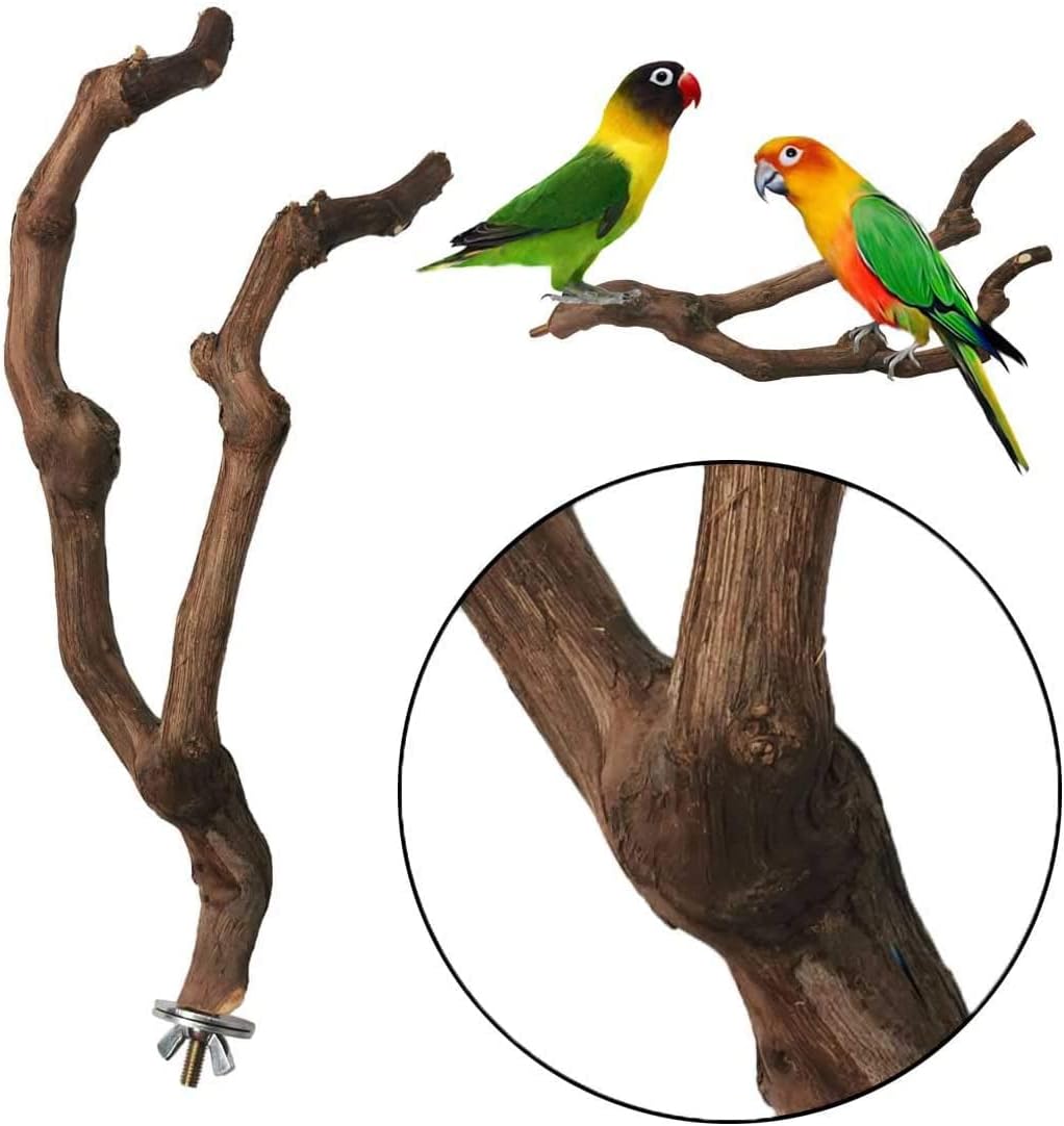kathson Natural Parrot Perch Bird Stand Pole Wild Grape Stick Paw Grinding Fork Parakeet Climbing Standing Branches Toy Chewable Cage Accessories for Small Budgies Cockatiels Lovebirds 4PCS