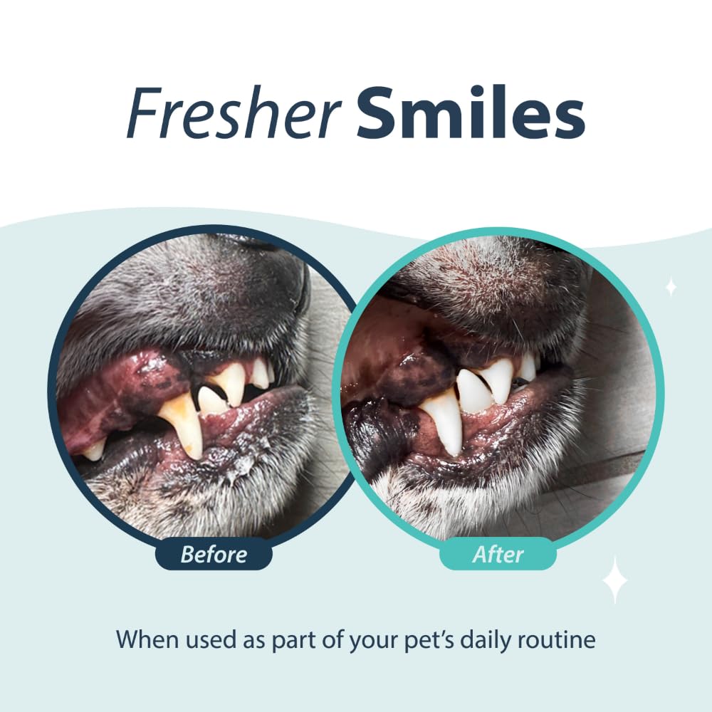 Dental Fresh Water Additive for Dogs, Original Formula, 17oz – Dog Breath Freshener and Teeth Cleaning for Dental Care– Add to Water