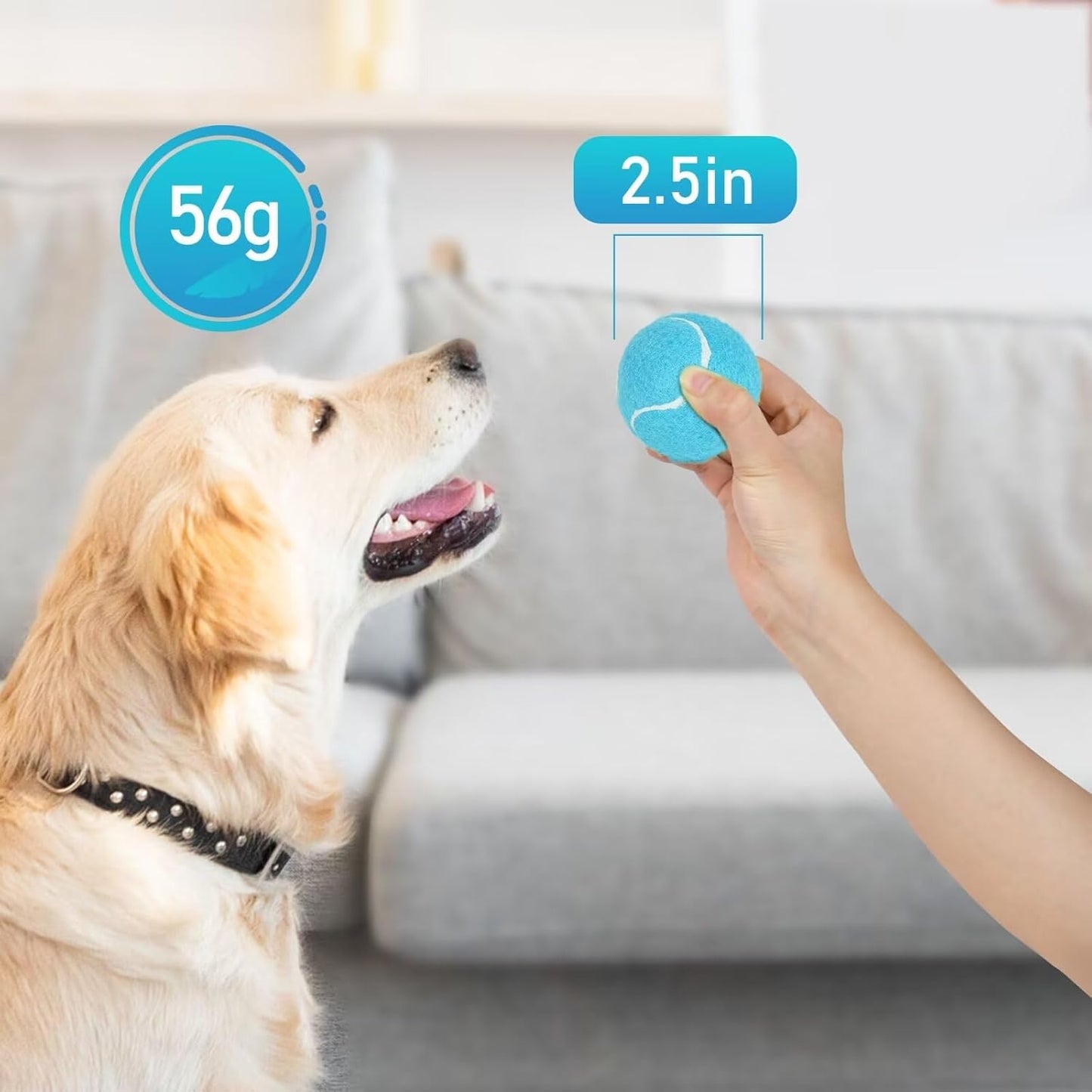 Prime Pets Squeaky Balls for Dogs, 2.5 Inch Dog Squeaky Toys, Interactive Dog Toy Tennis Balls for Indoor Outdoor, Squeak Toys for Medium, Large Dogs