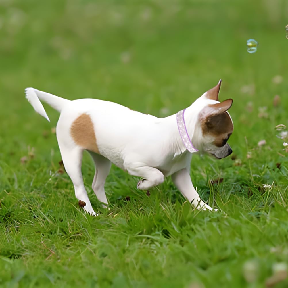 Rhinestone Dog Collar for Small Dogs, Bling Diamond Fancy Crystal Glitter Pretty Jewel Pet Puppy Collars for XXS XS Small Medium Large Breed Girl Dogs Female Cats Kitten, Colorful Red S