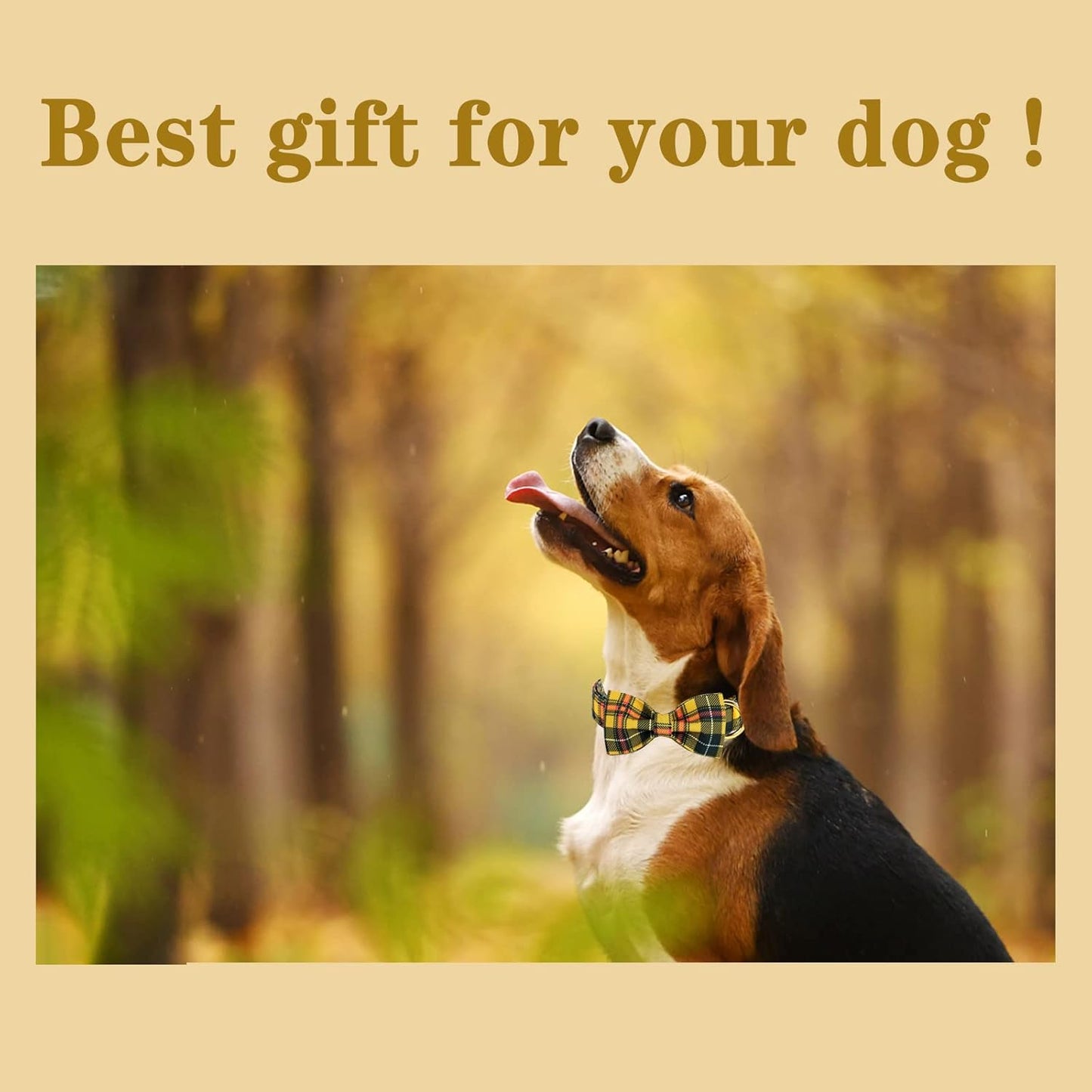 Unique style paws Bowtie Dog Collar Cotton Plaid Collar Adjustable Puppy Collar for Small Medium Large Dogs-XS