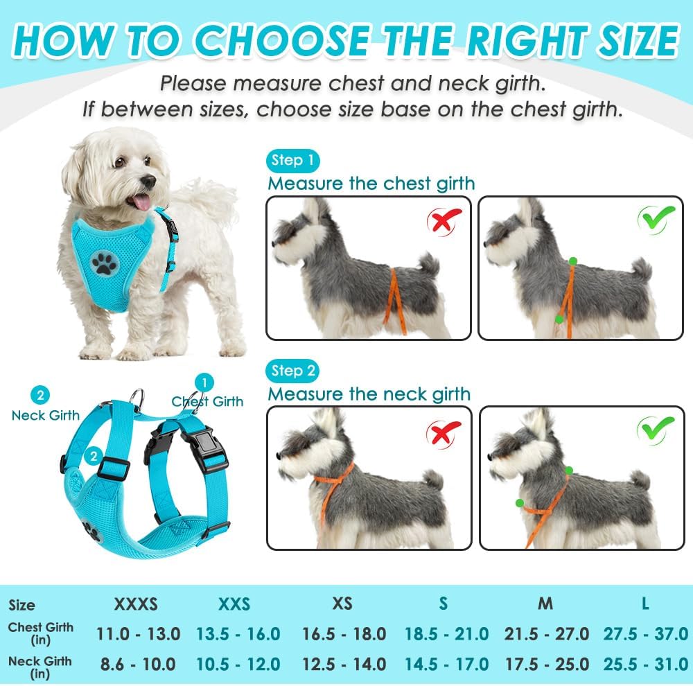 SlowTon Dog Seat Belt Harness for Car, Dog Car Harness Adjustable Mesh Breathable & Dog Seatbelt Safety Tether with Elastic Bungee for Small Medium Large Pets(Light Blue, Double Clip, M)