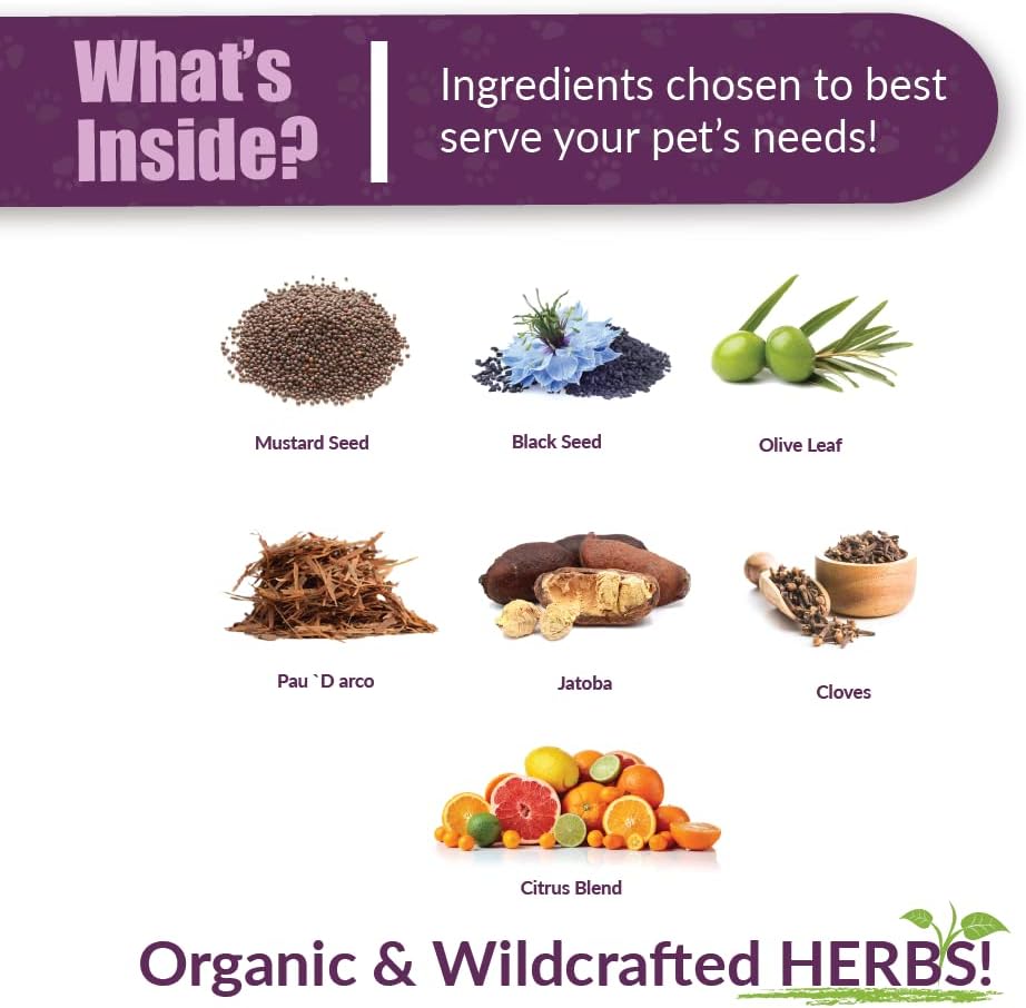 Amber NaturalZ Kochi Free Herbal Supplement for Dogs, Cats, Birds, Rabbits, and Guinea Pigs | Supports Healthy Bowel Function | Natural Aid for Digestive Balance | 4 Fluid Ounce Glass Bottle