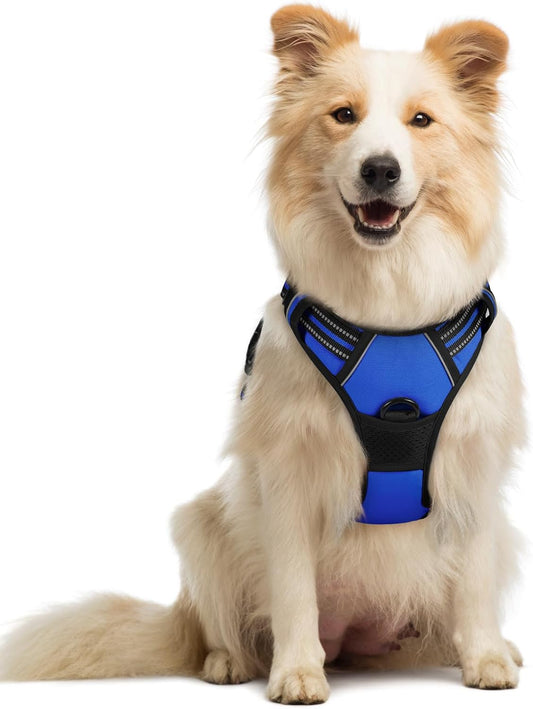 rabbitgoo Dog Harness No Pull with 2 Leash Clips, Adjustable Soft Padded, Reflective Oxford No Choke Pet Vest with Easy Control Handle for Medium Sized Dogs, Dazzling Blue, M