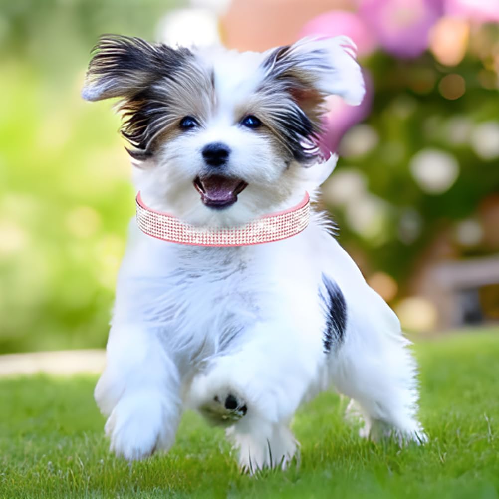 Rhinestone Dog Collar for Small Dogs, Bling Diamond Fancy Crystal Glitter Pretty Jewel Pet Puppy Collars for XXS XS Small Medium Large Breed Girl Dogs Female Cats Kitten, Teal M