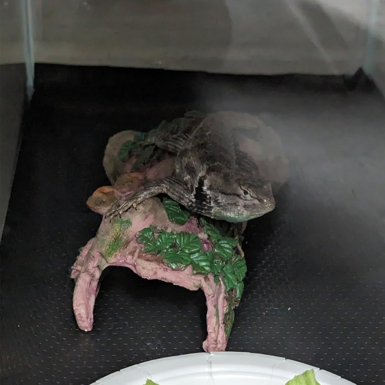 Resin Reptiles Hollow Tree Trunk Habitat Decor Reptile Log Hides Caves Bearded Dragon Hideout Cave Bark Habitats Decoration Gecko Hut for Lizard Chameleon Crested Gecko Snake Spider (3Pcs)