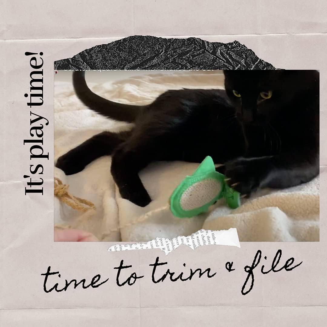 De' Vora Cat Scratcher Toy - Scratch, Play & File - Catnip Toys for Scratching Post - Cat