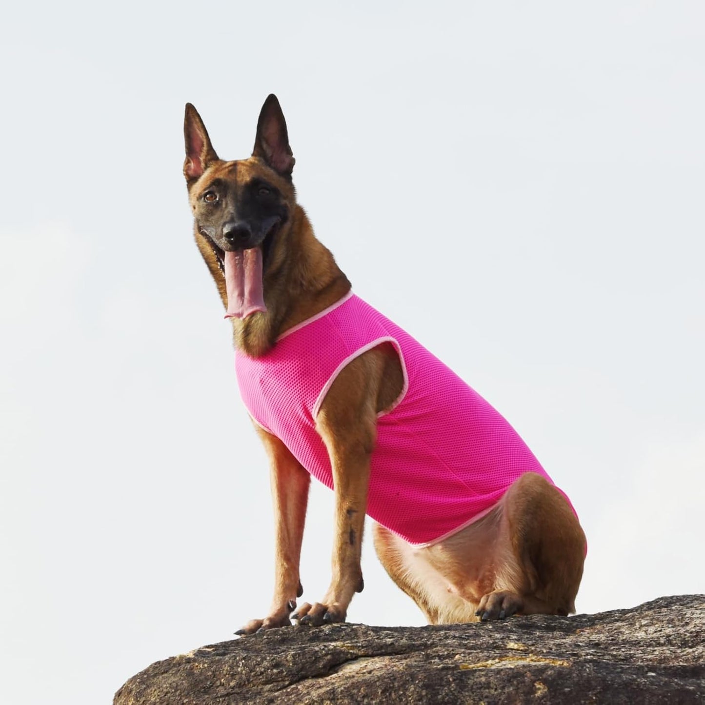 2 Pack Cooling Shirts for Dogs, Breathable Lightweight Dog Shirts for Medium Dogs Girl, Sleeveless Sun Protection Shirts for Dog&Cat Puppy Vest Pet Apparel