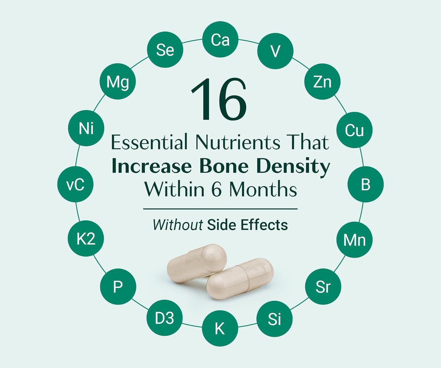 AlgaeCal - Bone Builder Pack for Bone Density Increase, Clinically Supported Plant Based Calcium Supplement & Strontium, Vitamins K2 (100mg), D3 (1600 IU), Magnesium & 16 Essential nutrients