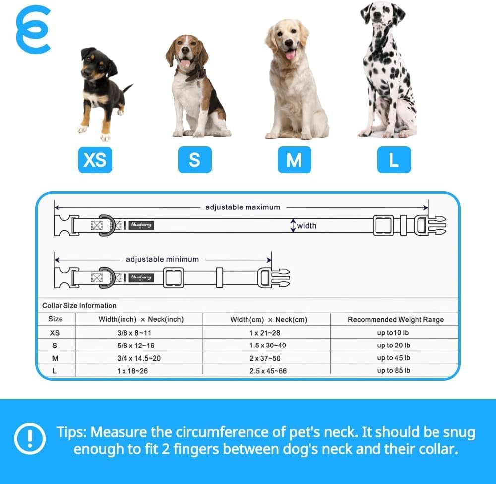 Blueberry Pet Essentials Medium Dog Collar in Royal Blue | Adjustable & Eco-Friendly Durable Nylon Strap | Classic Collar for Medium Dogs, Boy & Girl Pets