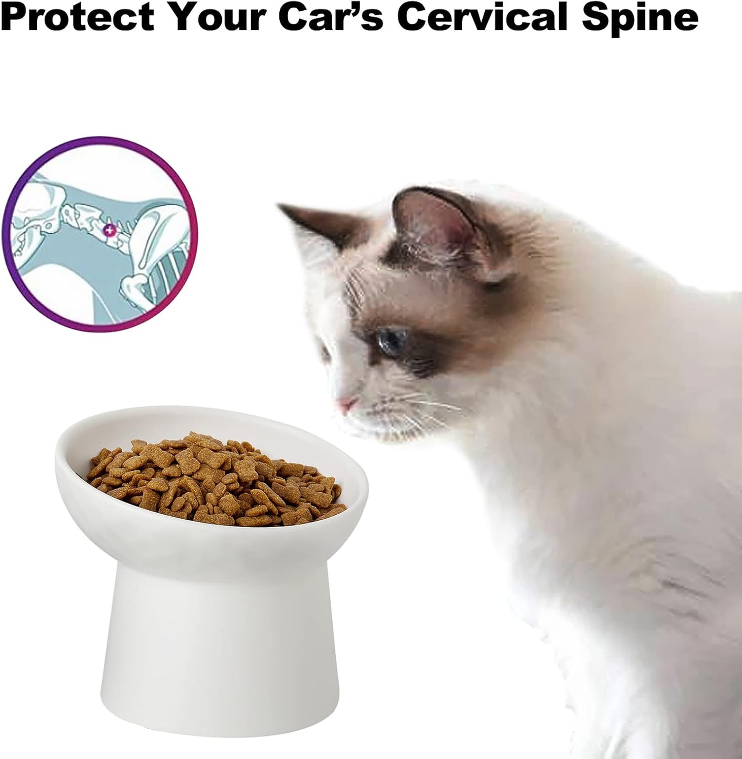 Small Ceramic Raised Cat Bowls, Tilted Elevated Food or Water Bowls, Stress Free, Backflow Prevention, Dishwasher and Microwave Safe, Lead & Cadmium Free(White)