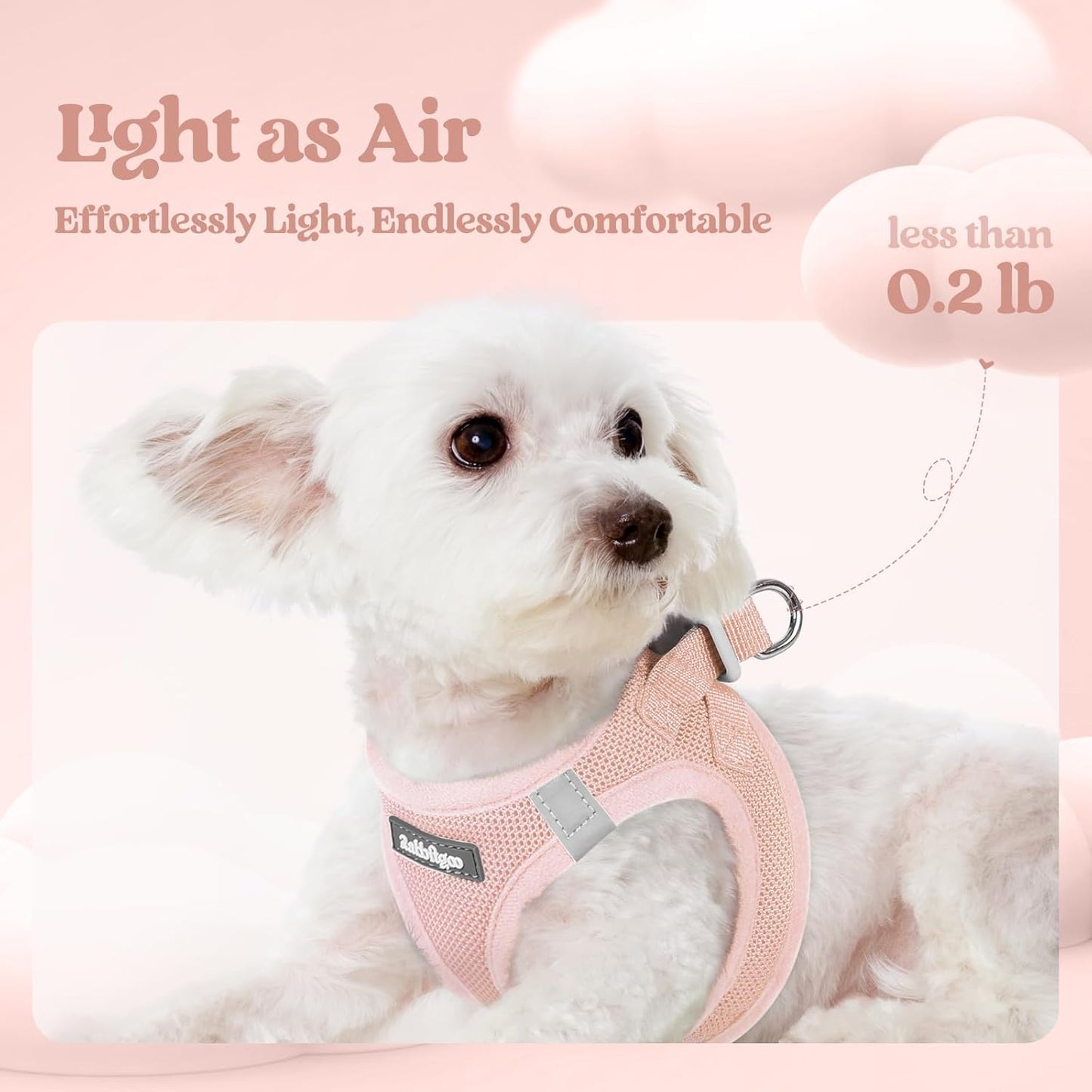 rabbitgoo Dog Harness Small Sized and Leash Set, Step in Soft Light Puppy Vest, Breathable Mesh Pet Harness, Reflective for Safe Outdoor Walking, Pink XS