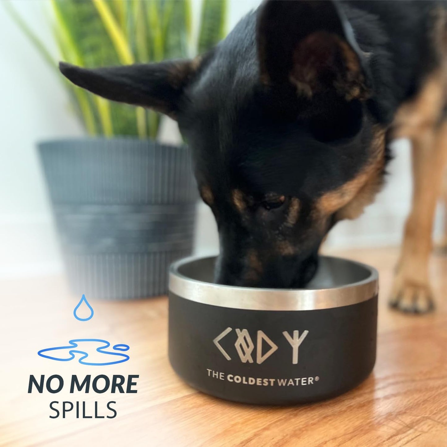 Coldest Dog Bowl - Anti Rust Metal, Non Slip, 3 Layers Insulated Stainless Steel Dog Bowls - Spill Proof & Heavy Duty - Water Bowl for Dogs, Cats & Pets, Dish Washer Safe (64 oz, Celestial Blue)