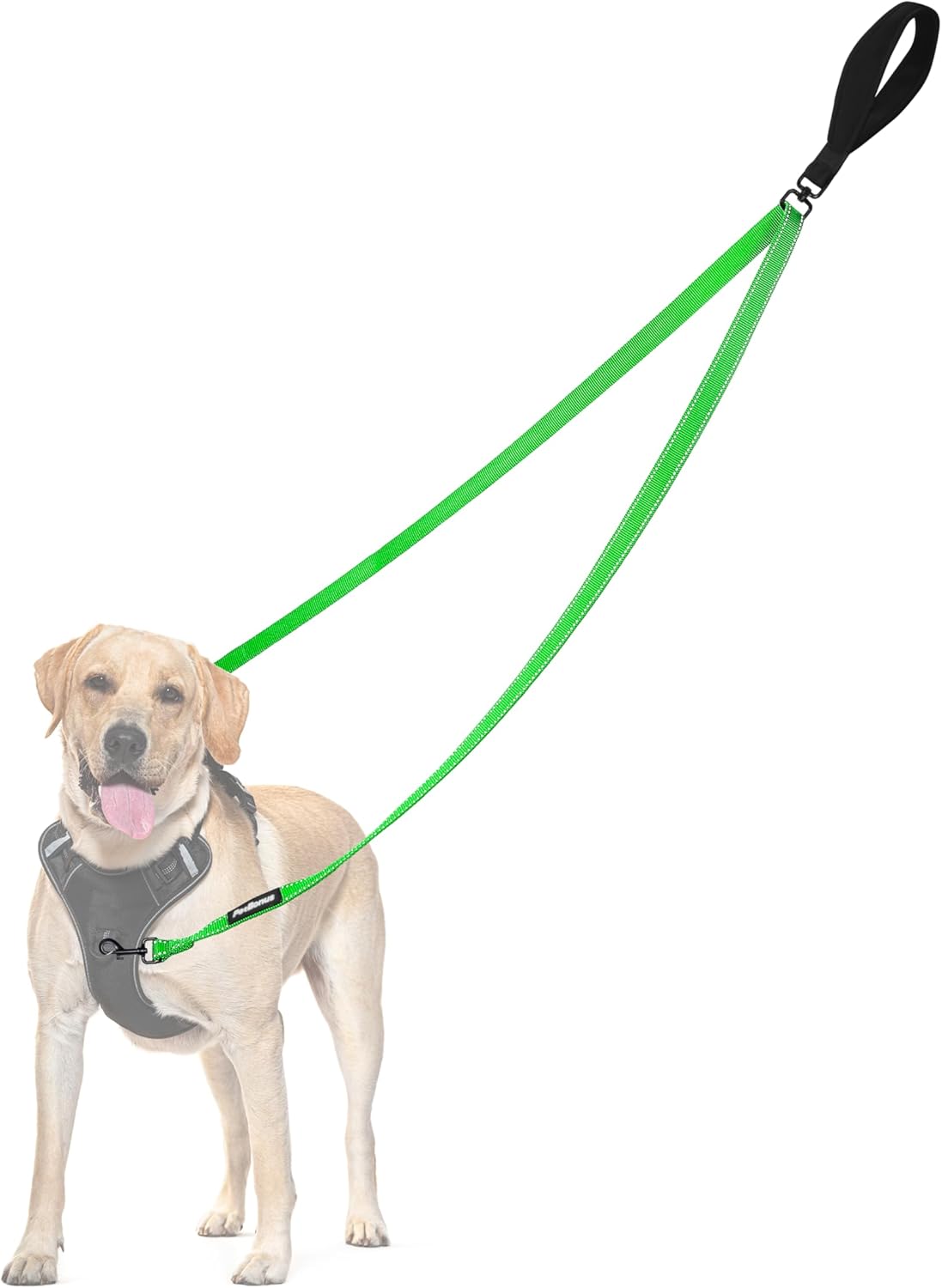 PetBonus Two Point Control Dog Leash, Works with No Pull Harnesses, No Tangle Training Leashes, Soft Padded and Reflective Walking Lead, Converts to Single Lead for Medium Large Dogs (Grass Green)