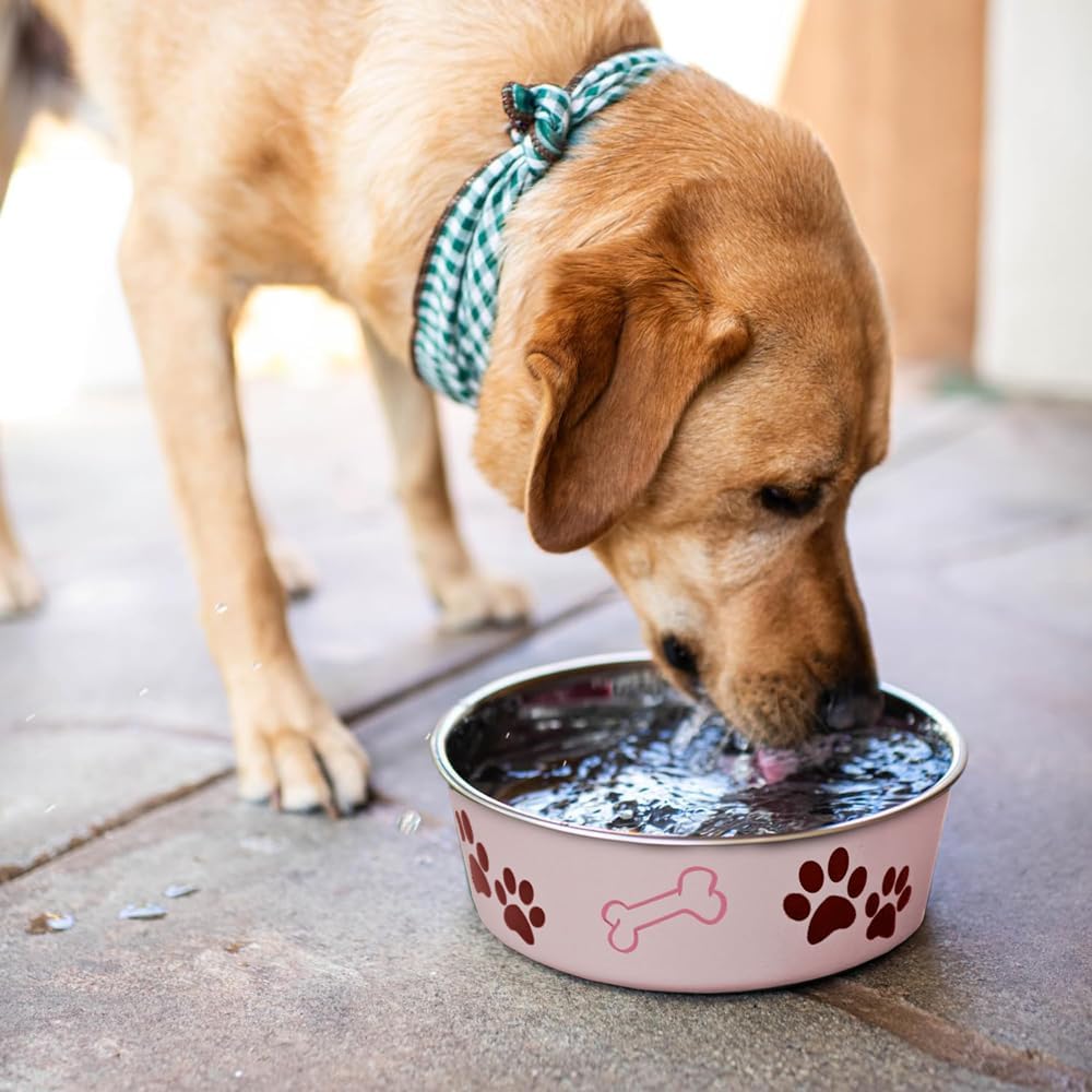 Loving Pets Bella Dog Bowls- Stainless Steel Dog & Cat Bowls - Spill Proof Dog Food Bowl, Cat Bowl, Puppy Essentials & Pet Supplies Great for Home & Travel (Large 35-65 lbs, Paparazzi Pink)