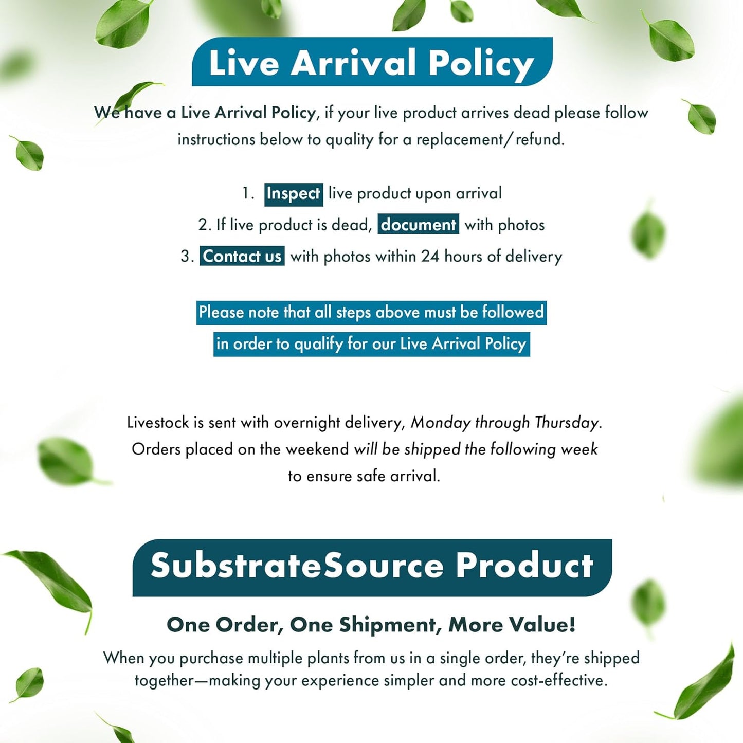 SubstrateSource Live Aquarium Red Stem Plants - Freshwater Aquatic Plant for Fish Tanks, Aquascaping - (Rotala Wallichii, 1 Bunch)