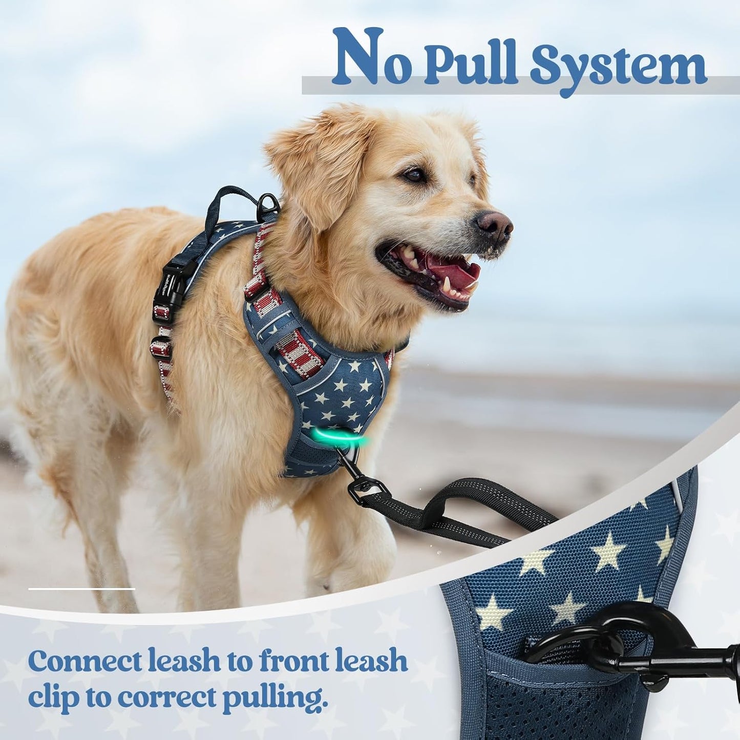 rabbitgoo Dog Harness No Pull with 2 Leash Clips, Adjustable Soft Padded, Reflective Oxford No Choke Pet Vest with Easy Control Handle for Large Dogs, Blue Star, L