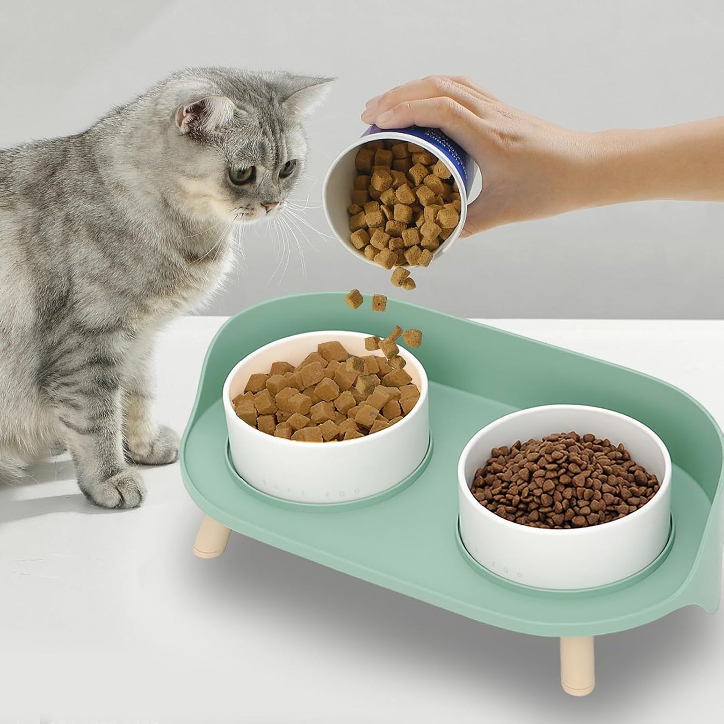 Elevated Dog Bowls Set, Ceramic Pet Food & Water Bowls with Non-Slip Stand, No Spill Design for Cats/Small Medium Dogs Green