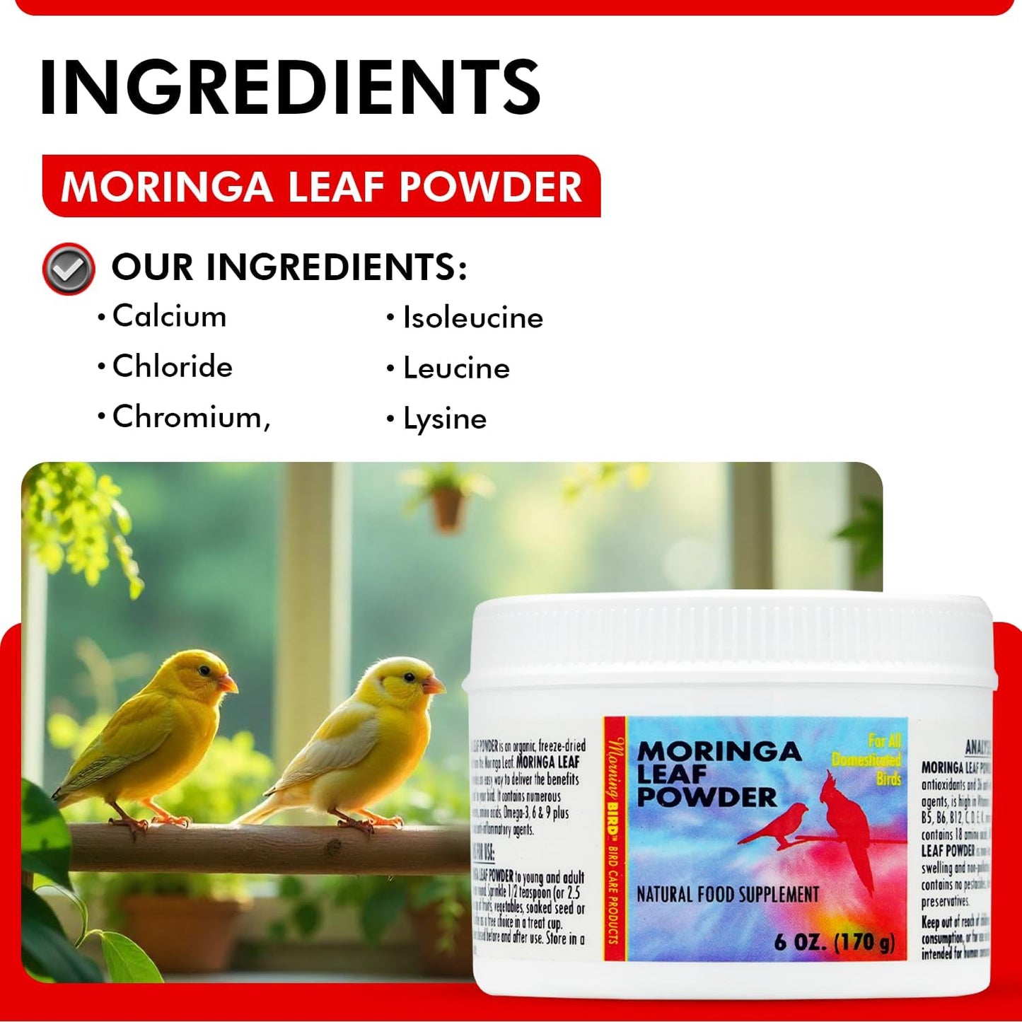 Morning Bird Moringa Leaf Powder 6 oz – Natural Food Supplement for Birds, Rich in Vitamins & Minerals, Boosts Immune System & Energy, Supports Healthy Feathers, Digestion, and Overall Avian Wellness